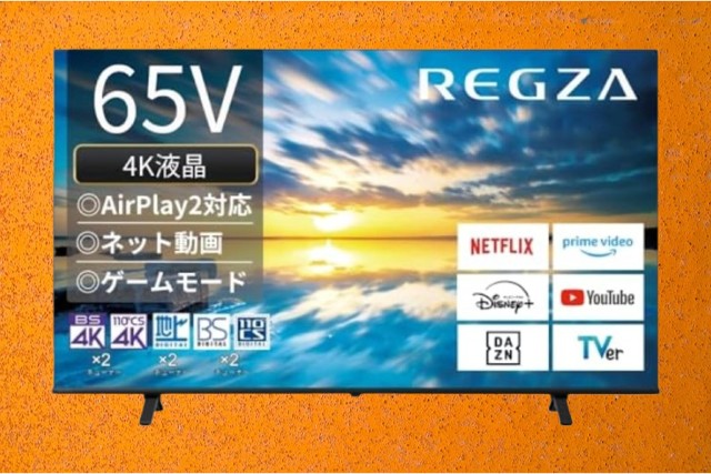 REGZA 65E350M購入ガイド：価格と入手方法